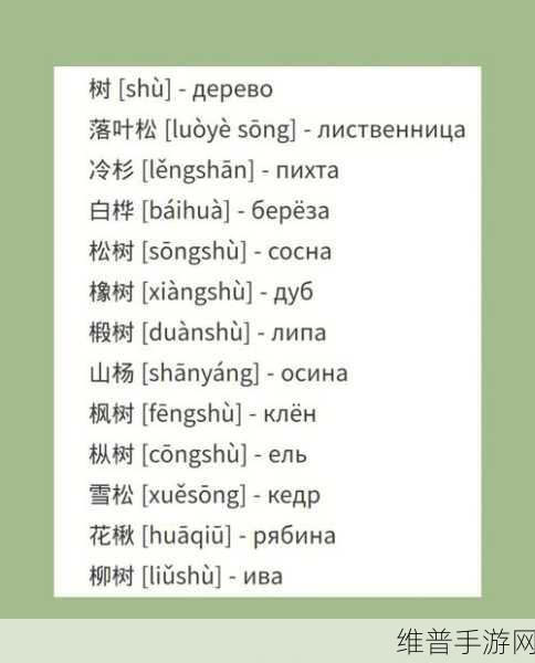 два和две的区别：理解“два”和“две”在俄语中的用法与区别解析