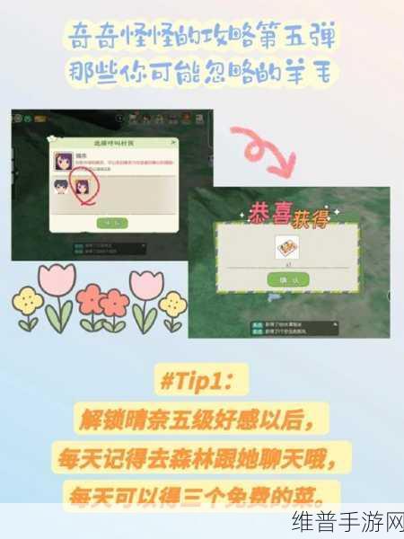 小森生活四级料理配方大揭秘 厨艺进阶指南