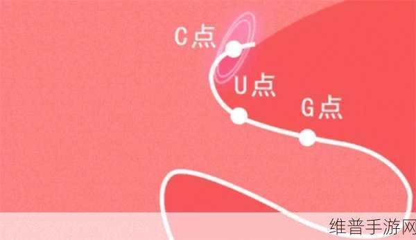 怎么自W到高C详细图片：根据“怎么自W到高C”的主题，以下是一些详细的标题建议：