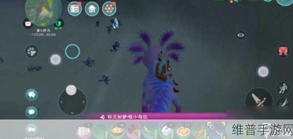 创造与魔法，鳞甲海龟饲料配方全解析