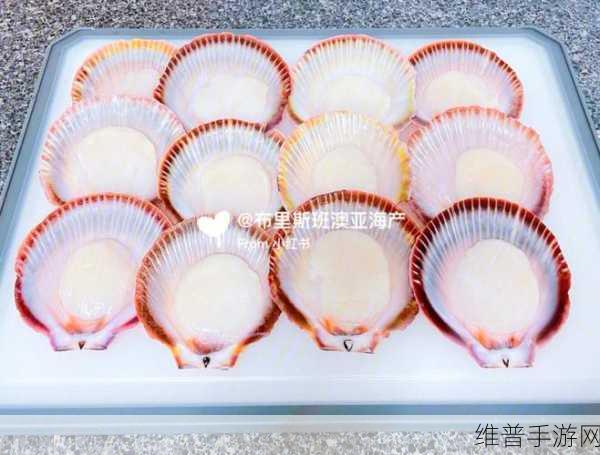 打开扇贝就可以吃火腿肠界面简约很高级：1. 打开扇贝，尽享火腿肠的美味体验