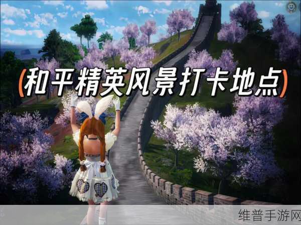 探寻和平精英体验服的畅玩之地