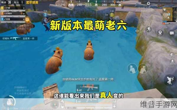 探寻和平精英体验服的畅玩之地