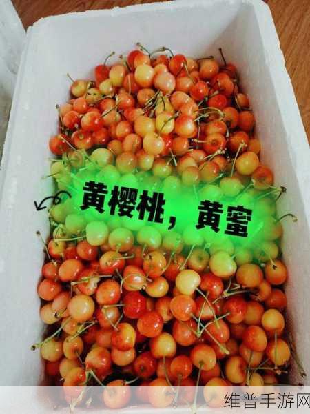 黄蜜大樱桃跟红蜜的区别：1. 黄蜜大樱桃与红蜜的口味差异解析