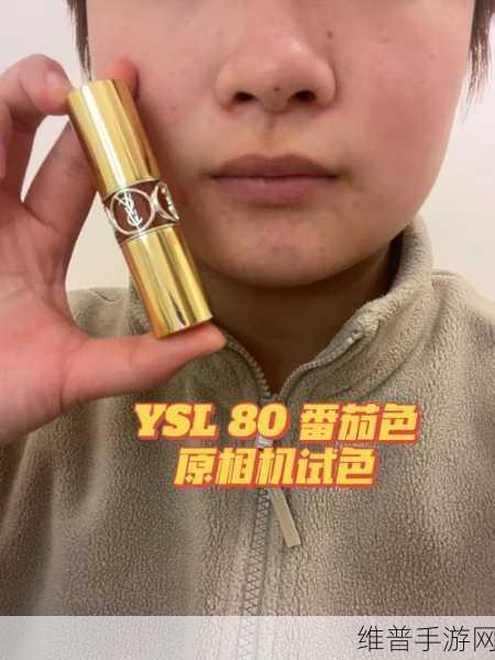 YSL千人千色T9T9T9T9MMD引发:1. YSL千人千色:个性化妆容的无限可能