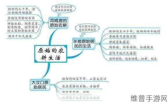 探索97一二三产区区别:1. 探索97一二三产业发展的区域差异与特点