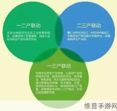 探索97一二三产区区别：1. 探索97一二三产业发展的区域差异与特点