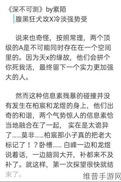 车速超高的双男主小说：1. 《极速狂飙：双雄争霸的热血青春