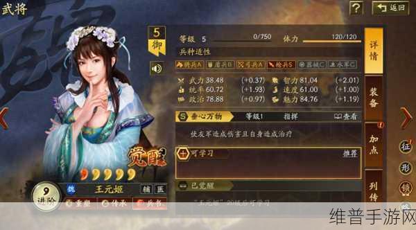 三国志战略版王元姬搭配攻略，解锁战斗新境界