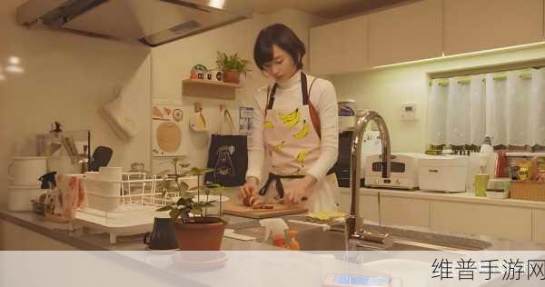 从厨房一路干到客厅好吗：1. 从厨房到客厅：家居清洁的完美攻略