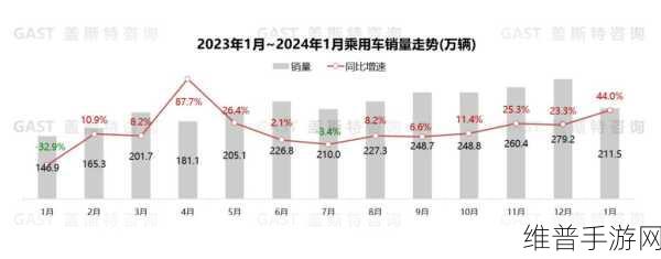 国产一二三区别2024：1. 2024年国产一二三区别全面解析与展望