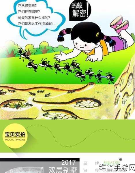 我们平常吃的草莓蚂蚁庄园:1. 美味草莓与蚂蚁庄园的奇妙碰撞