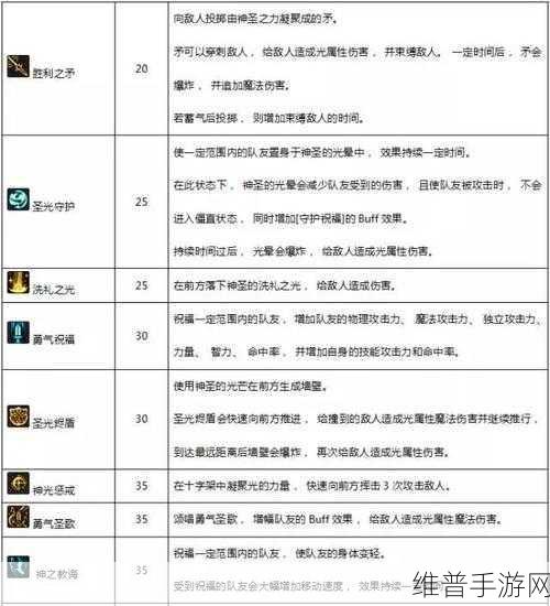 DNF手游攻略，男女圣骑士职业强度对比与实战表现深度探究