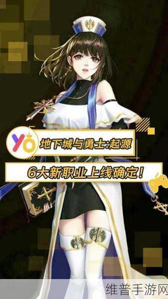 DNF手游攻略，男女圣骑士职业强度对比与实战表现深度探究
