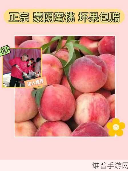 水蜜桃881118：1. 水蜜桃881118：甜美的味道，幸福的生活