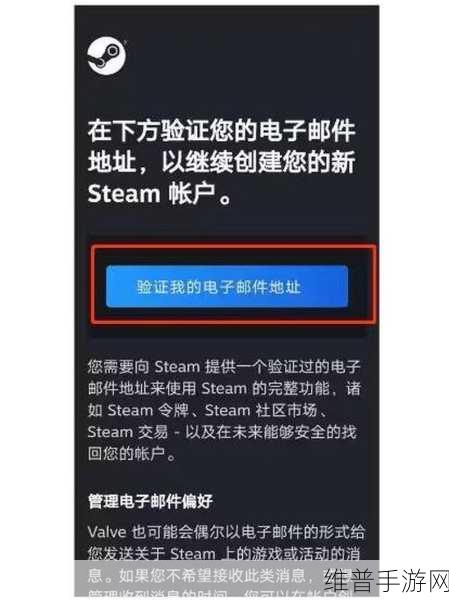 手机端 Steam 无法登陆的深度剖析与解决指南