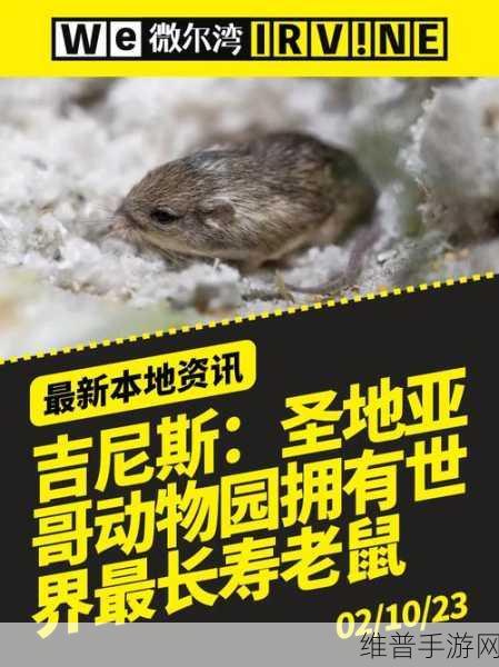探索人与畜禽交互MOUSE突然爆火：1. 《人与畜禽互动新发现：鼠类行为的惊人变化