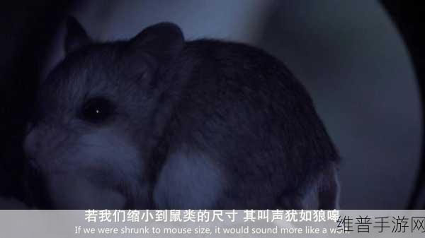 探索人与畜禽交互MOUSE突然爆火：1. 《人与畜禽互动新发现：鼠类行为的惊人变化