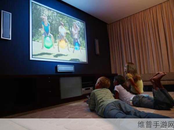 成都私人家庭影院的推荐理由韩国：1. 成都私人家庭影院：享受独特观影体验的理想选择