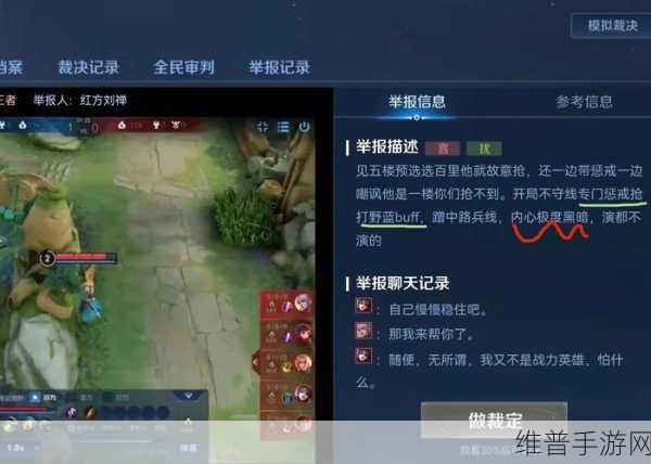 王者荣耀鹰眼护卫队裁决秘籍，守护公平之战