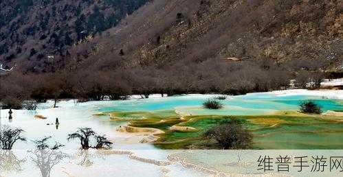 黄龙直捣溪水潺潺全新发布作品：1. 《黄龙之舞：溪水潺潺的旅程