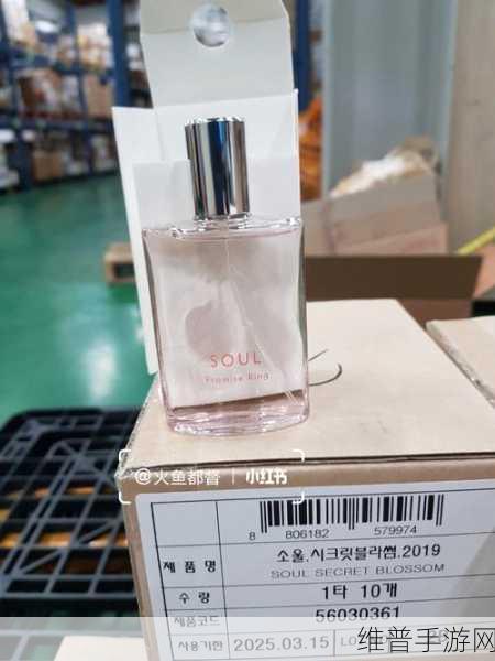 掌控香水奥秘，成就无敌调香师之路