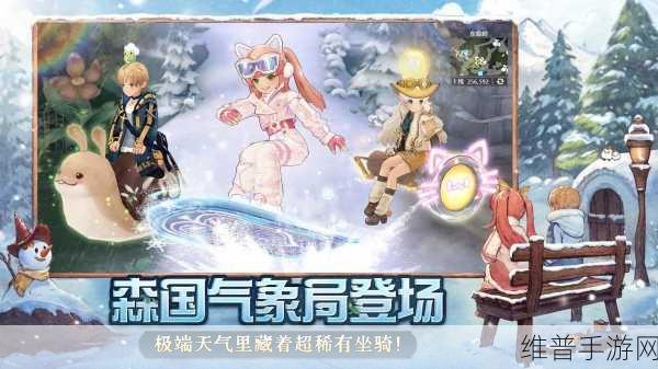 森之国度金猫的最佳抉择指南