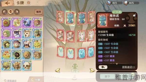 森之国度金猫的最佳抉择指南