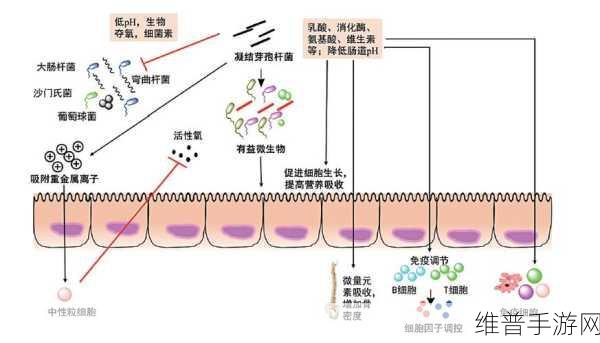 人与畜禽CROPROATIO一：1. “人与畜禽相互作用下的生态平衡研究”
