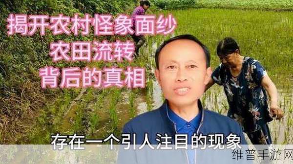 黑料门-今日黑料-最新反差:1. "黑料门最新动态:揭开真相的面纱