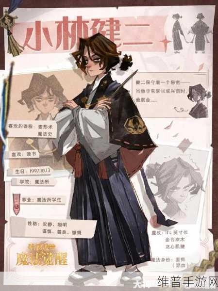 哈利波特魔法觉醒,分院抉择指南
