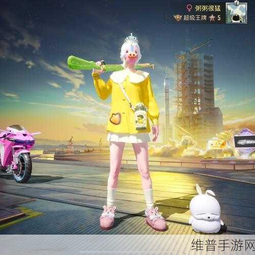 和平精英小黄鸭联动皮肤全攻略，解锁小黄鸭皮肤的多种途径
