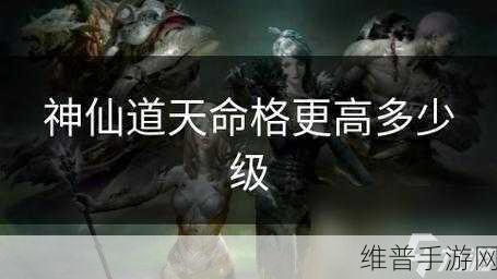 神仙道命格深度解析，打造专属角色的极致之路