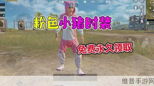 和平精英，获取粉红小猪套装的全方位指南