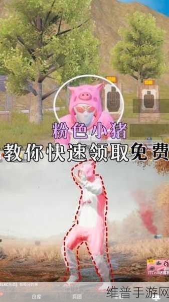 和平精英，获取粉红小猪套装的全方位指南