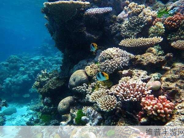 atlanticocean巨大登顶人气影视排行：1. ＂潜入大西洋：揭秘影视作品中的海底奇观