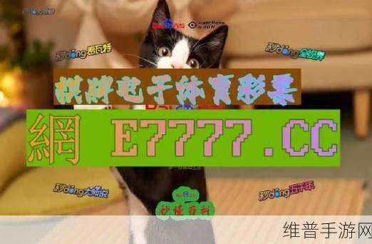 亚洲成品网站W源码1688：以下是一些基于亚洲成品网站W源码1688的扩展标题建议，每个标题均不少于10个字：