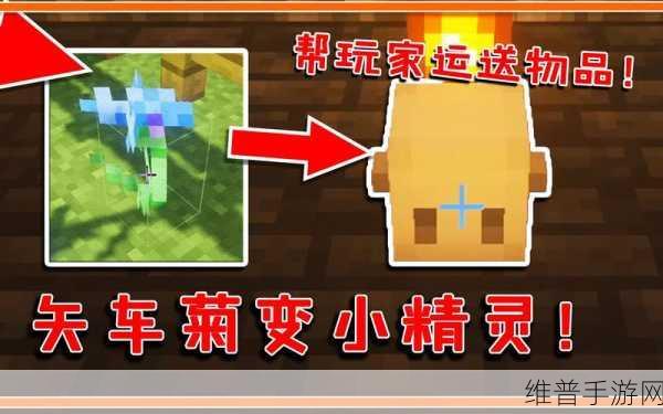 我的世界矢车菊，功能与效果全解析