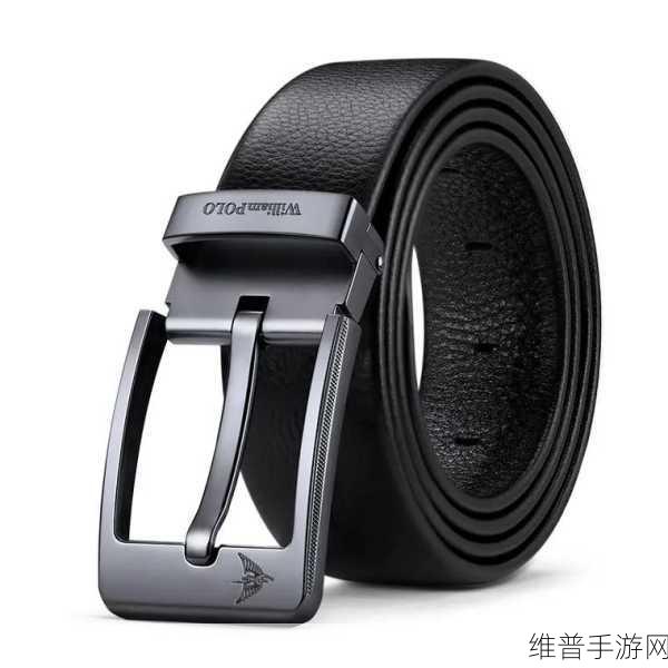 趴好了是选皮带还是选板子：1. 如何选择适合自己的皮带与板子？