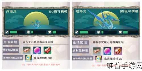 创造与魔法亲密度全方位解析