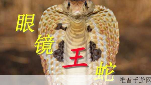 蛇王的尾巴高ah竟然有这种神奇功能：1. 蛇王的尾巴：揭示神秘力量的新发现
