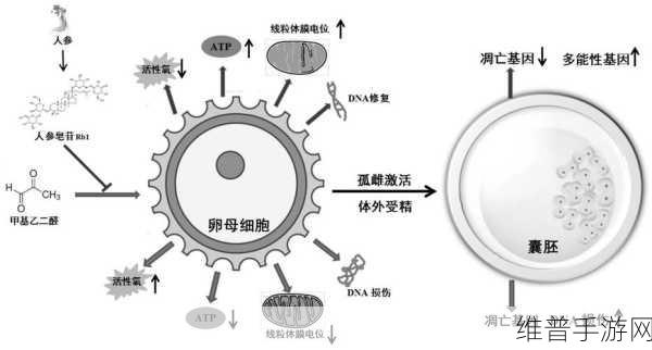 绑定大RB系统：1. 深入探索大RB系统的潜能与应用前景
