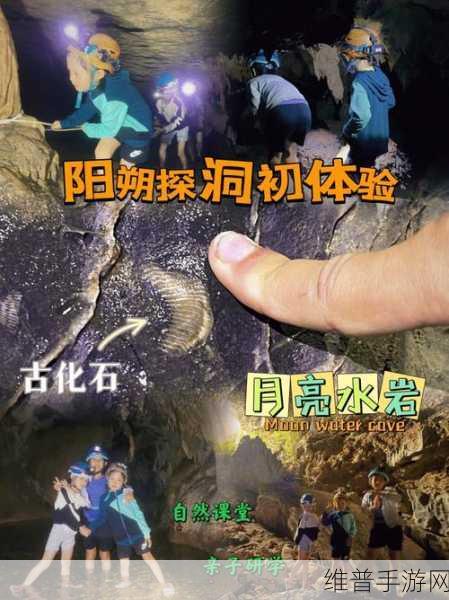 舌头探洞水好多怎么办：1. 舌头探洞水多引发的健康问题及解决方案
