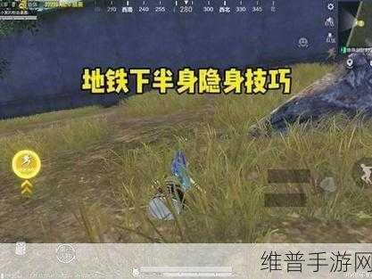 和平精英隐身设置全攻略，不让别人看到你上线的秘密方法