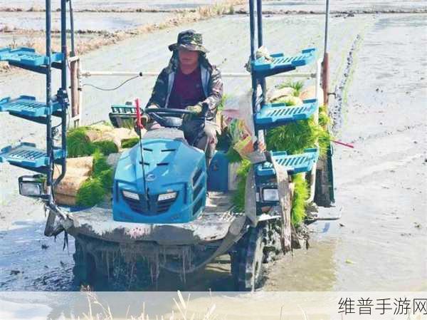 夫妻间100间插秧法人民网：1. 夫妻携手共创美好生活，100间插秧法助力家庭和谐