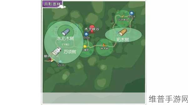 小森生活全植物刷新时间深度攻略
