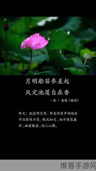两瓣红莲今夜开一池碧水盼君浴诗词:1. 碧水映红莲,月下独酌情