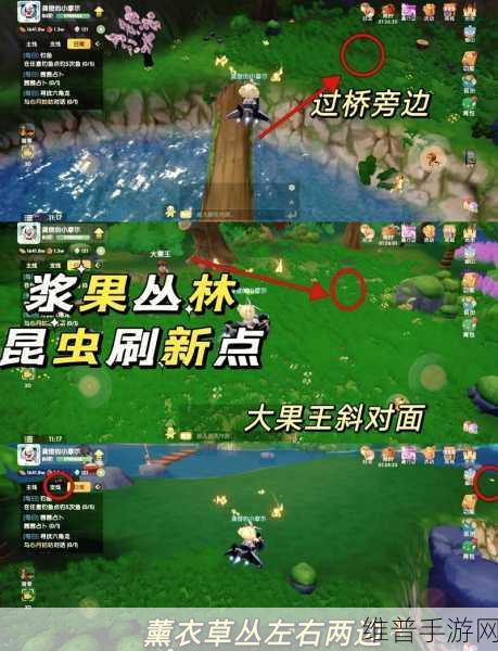 摩尔庄园手游，昆虫谷纪事任务全解析