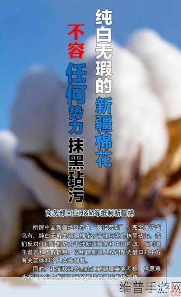 解密中国新疆XXXXXL19D遭抹黑：1. 解密新疆XXXXXL19D：揭开抹黑背后的真相