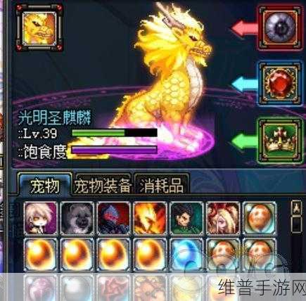 DNF 迷你卢坦宠物，外观魅力与玩家之评